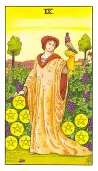 星幣九 Nine of Pentacles 塔羅牌