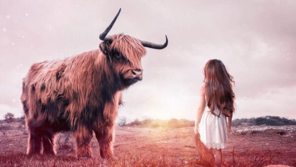 十大代表力量與勇氣的塔羅牌