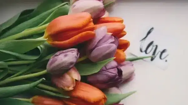 今日愛情塔羅占卜