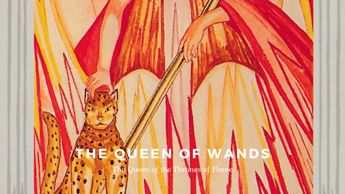 The Queen of Wands-托特塔羅牌