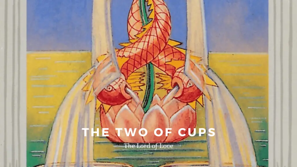 The Two of Cups