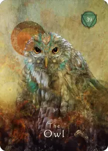 39 貓頭鷹 The Owl - 薩滿奧秘神諭卡