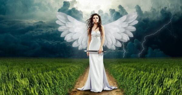 天使回應卡免費占卜