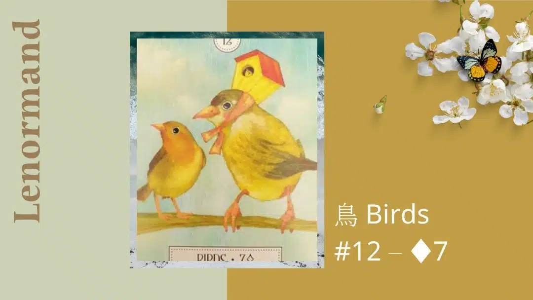 12.鳥 Birds-夢想之路雷諾曼卡