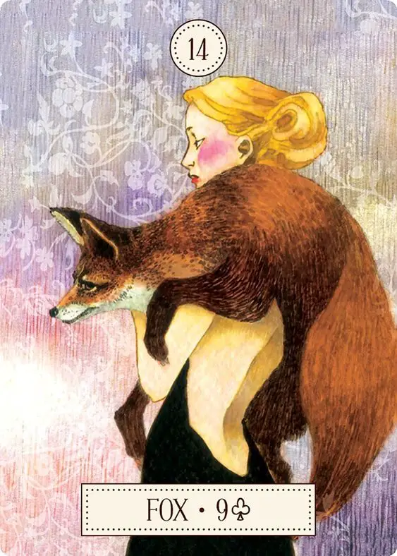14.狐狸 Fox-夢想之路雷諾曼卡