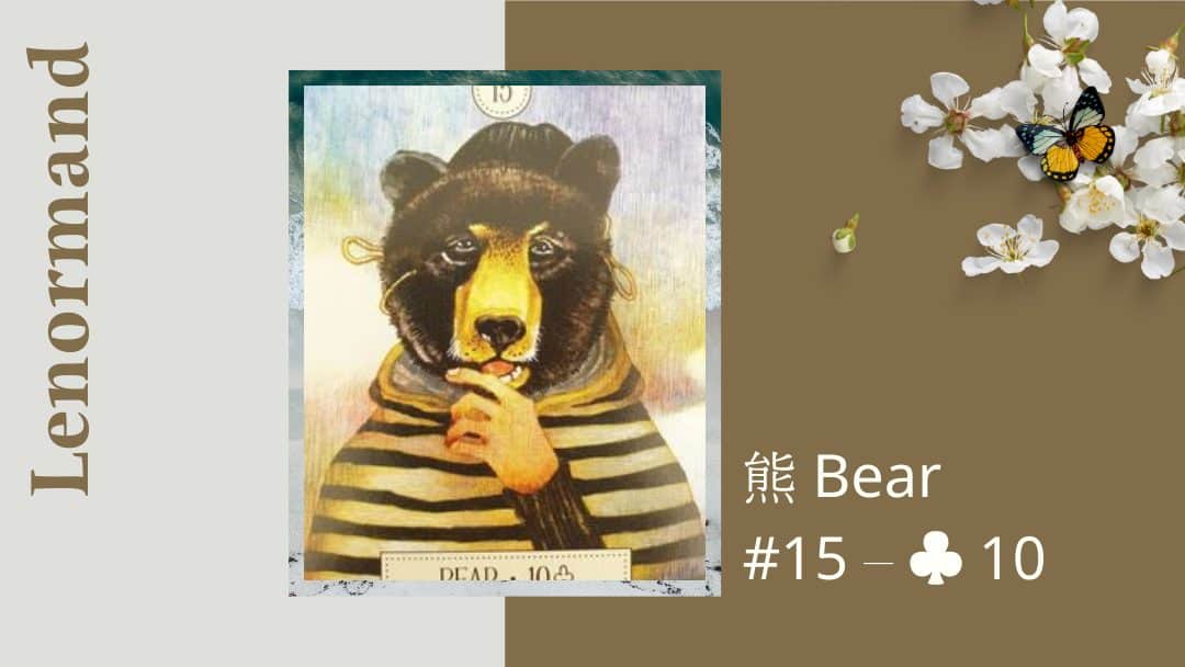 15.熊 Bear-夢想之路雷諾曼卡