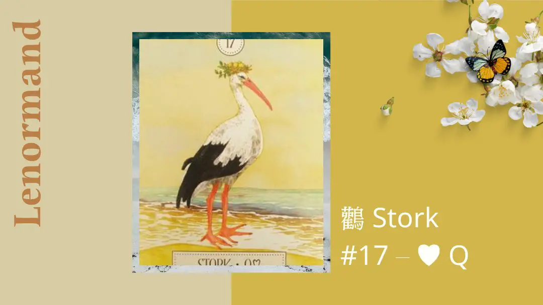 17.鸛 Stork-夢想之路雷諾曼卡
