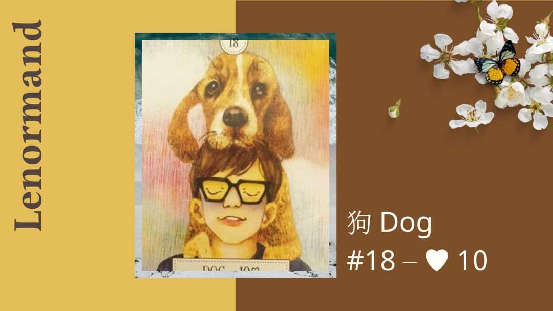 18.狗 Dog-夢想之路雷諾曼卡