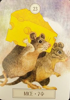 23.老鼠 Mice-夢想之路雷諾曼卡