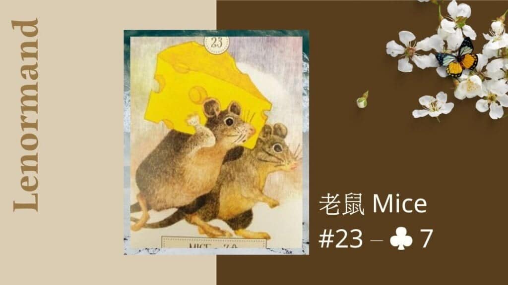 23.老鼠 Mice-夢想之路雷諾曼卡