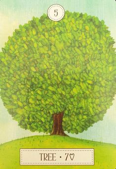 5.樹 Tree-夢想之路雷諾曼卡