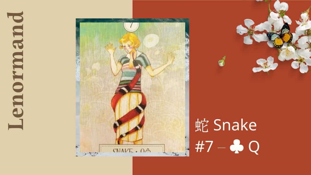 7.蛇 Snake-夢想之路雷諾曼卡
