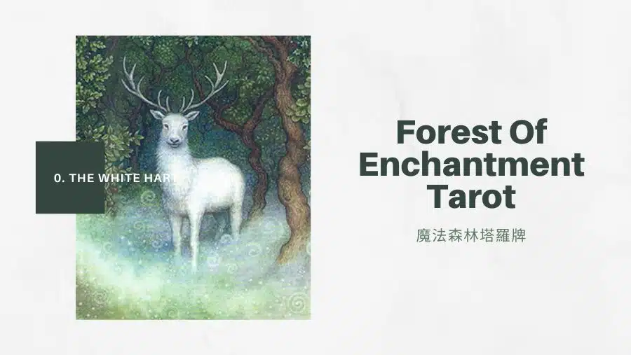 0. 白鹿 The White Hart-魔法森林塔羅牌Forest of Enchantment Tarot