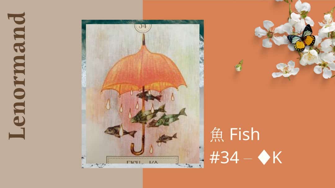 34.魚 Fish-夢想之路雷諾曼卡