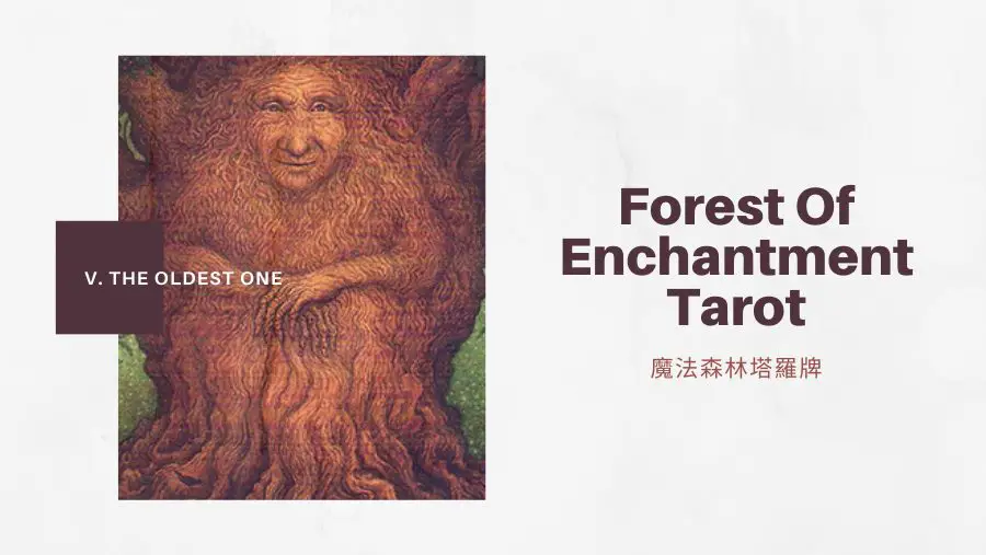 5.最古老的 The Oldest One-魔法森林塔羅牌Forest of Enchantment Tarot