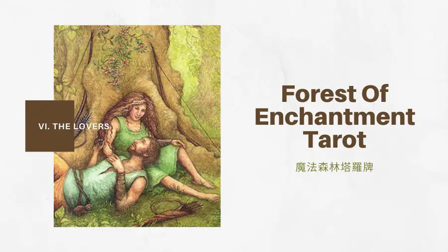 6.戀人 The Lovers-魔法森林塔羅牌Forest of Enchantment Tarot