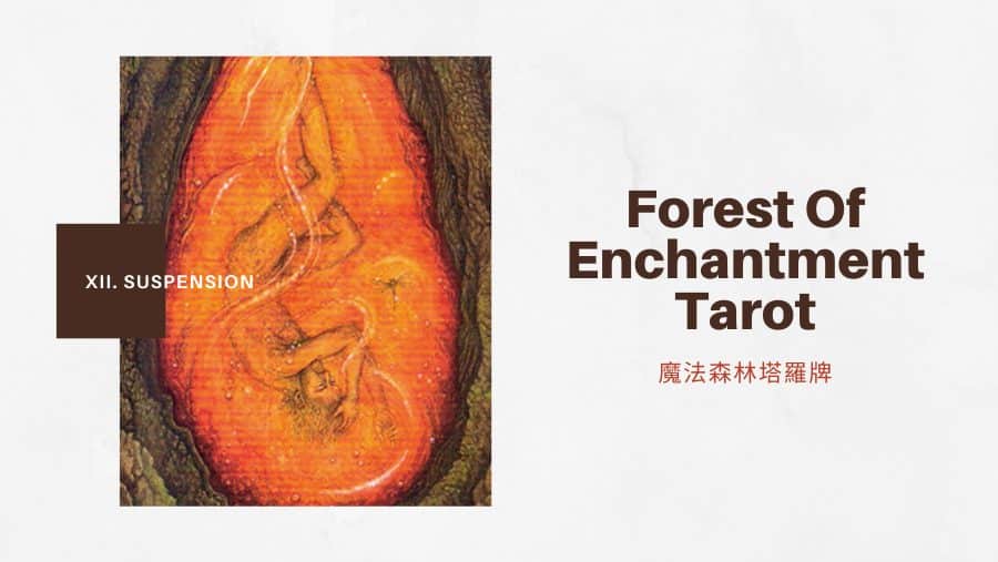 12.懸空Suspension -魔法森林塔羅牌Forest of Enchantment Tarot