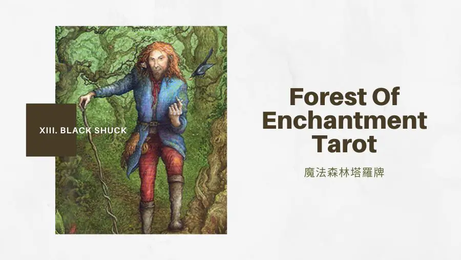 15.騙子The Liar -魔法森林塔羅牌Forest of Enchantment Tarot