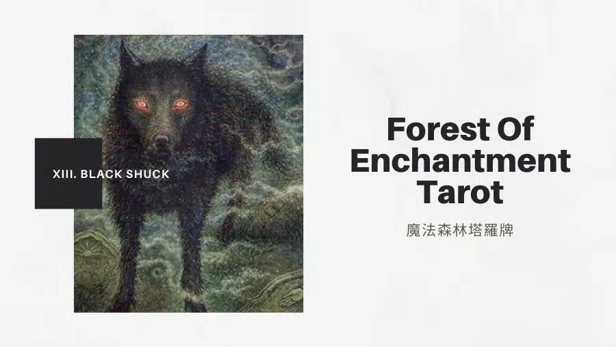 13.黑夏克犬Black Shuck -魔法森林塔羅牌Forest of Enchantment Tarot