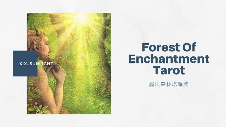 19.陽光 Sunlight-魔法森林塔羅牌Forest of Enchantment Tarot
