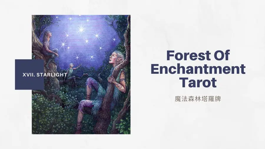 17.星光 The Starlight-魔法森林塔羅牌Forest of Enchantment Tarot