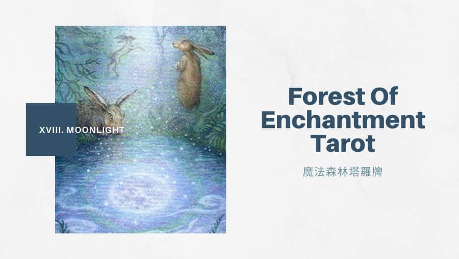 18.月光 Moonlight-魔法森林塔羅牌Forest of Enchantment Tarot