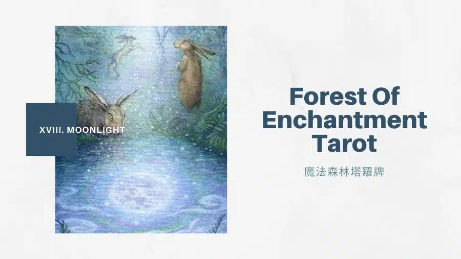 18.月光 Moonlight-魔法森林塔羅牌Forest of Enchantment Tarot