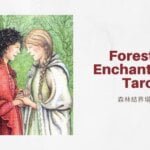 幻象二 2 Of Visions-魔法森林塔羅牌Forest of Enchantment Tarot