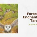 法術八 8 Of Spells-魔法森林塔羅牌Forest of Enchantment Tarot