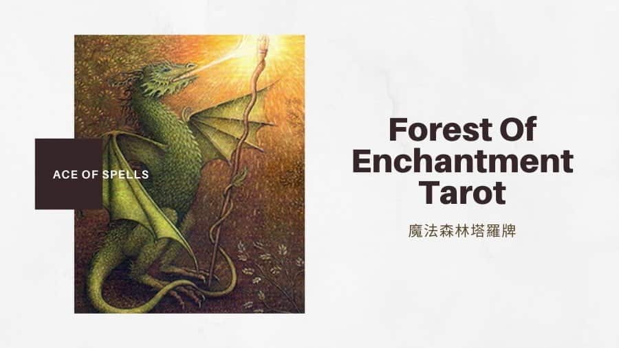 法術王牌 Ace Of Spells-魔法森林塔羅牌Forest of Enchantment Tarot