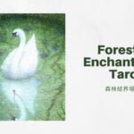 幻象王牌 Ace Of Visions-魔法森林塔羅牌Forest of Enchantment Tarot