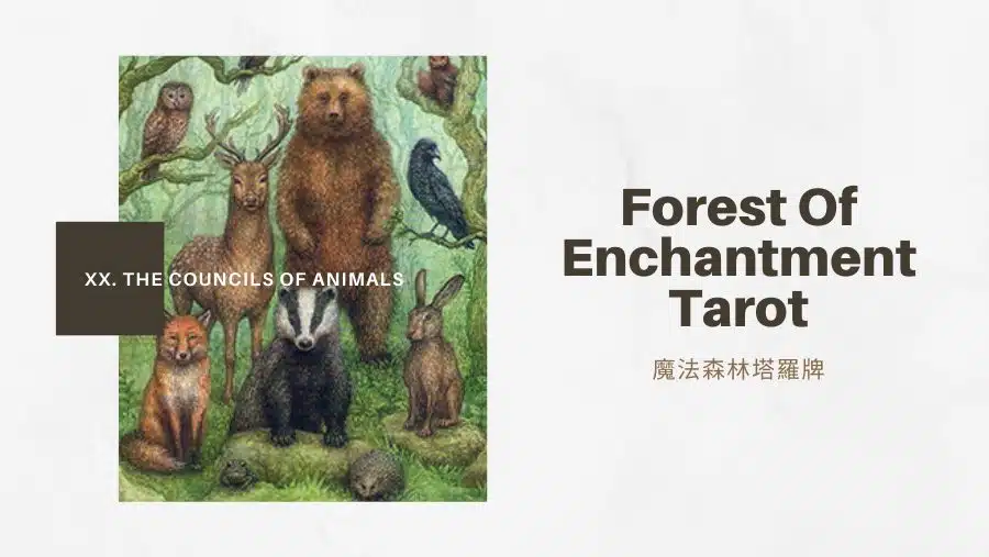 20.動物議會 The Council Of Animals-魔法森林塔羅牌Forest of Enchantment Tarot