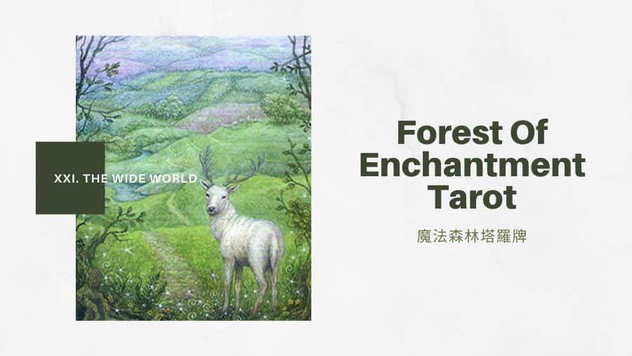 21.廣闊的世界 The Wide World-魔法森林塔羅牌Forest of Enchantment Tarot