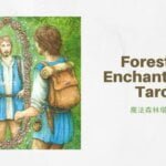 挑戰二 2 Of Challenges-魔法森林塔羅牌Forest of Enchantment Tarot