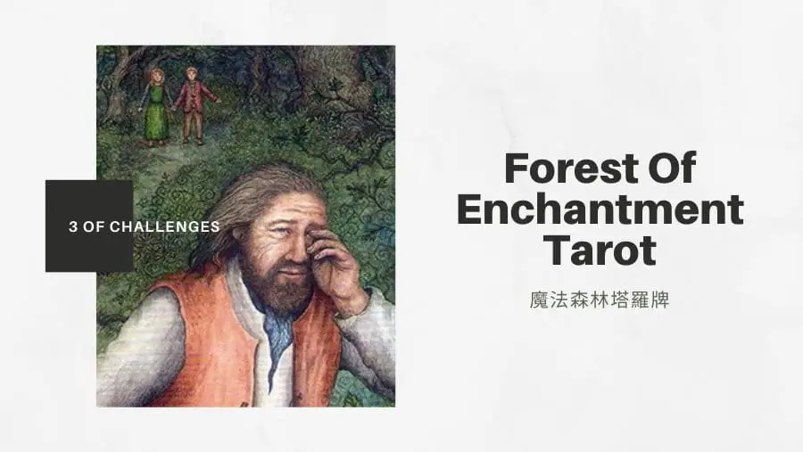 挑戰三 3 Of Challenges-魔法森林塔羅牌Forest of Enchantment Tarot