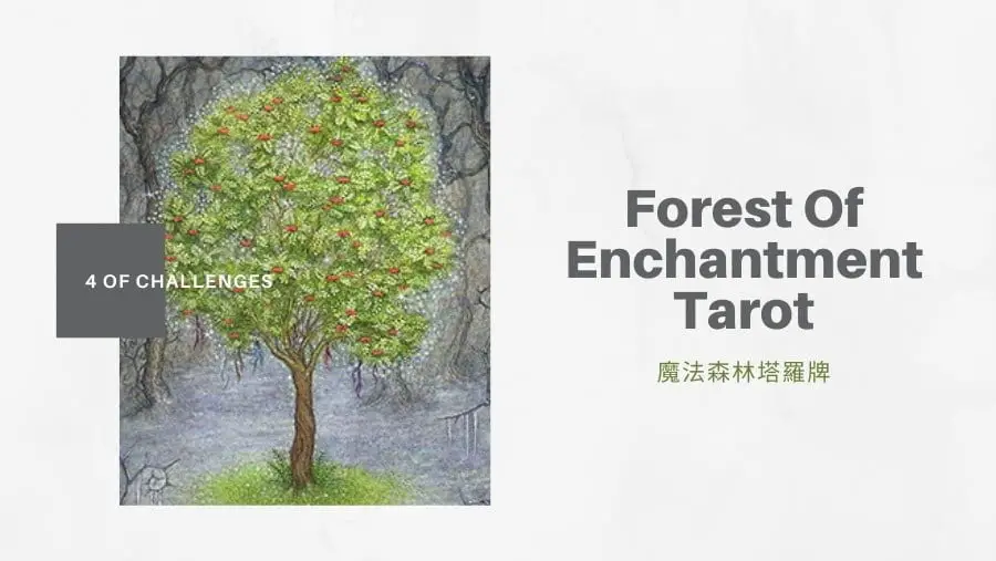 挑戰四 4 Of Challenges-魔法森林塔羅牌Forest of Enchantment Tarot