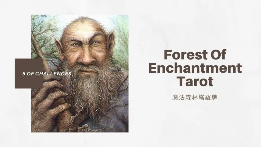 挑戰五 5 Of Challenges-魔法森林塔羅牌Forest of Enchantment Tarot