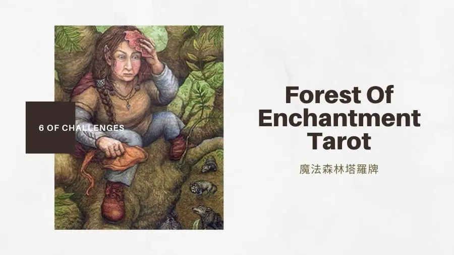 挑戰六 6 Of Challenges-魔法森林塔羅牌Forest of Enchantment Tarot