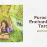 幻象六 6 Of Visions-魔法森林塔羅牌Forest of Enchantment Tarot