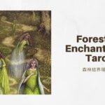 幻象八 8 Of Visions-魔法森林塔羅牌Forest of Enchantment Tarot