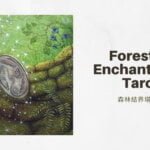 幻象九 9 Of Visions-魔法森林塔羅牌Forest of Enchantment Tarot