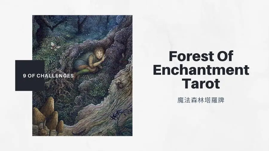 挑戰九 9 Of Challenges-魔法森林塔羅牌Forest of Enchantment Tarot