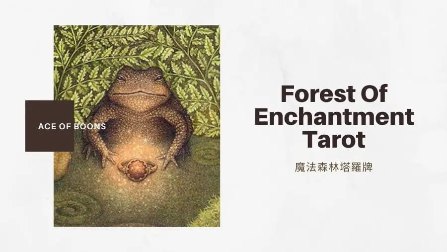 恩賜王牌 Ace Of Boons-魔法森林塔羅牌Forest of Enchantment Tarot