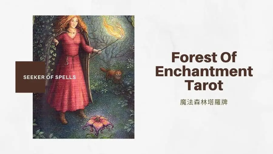 法術之探索者 Seeker Of Spells-魔法森林塔羅牌Forest of Enchantment Tarot