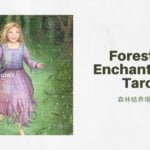 幻象之子 Child Of Visions-魔法森林塔羅牌Forest of Enchantment Tarot