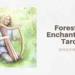 幻象之探索者 Seeker Of Visions-魔法森林塔羅牌Forest of Enchantment Tarot