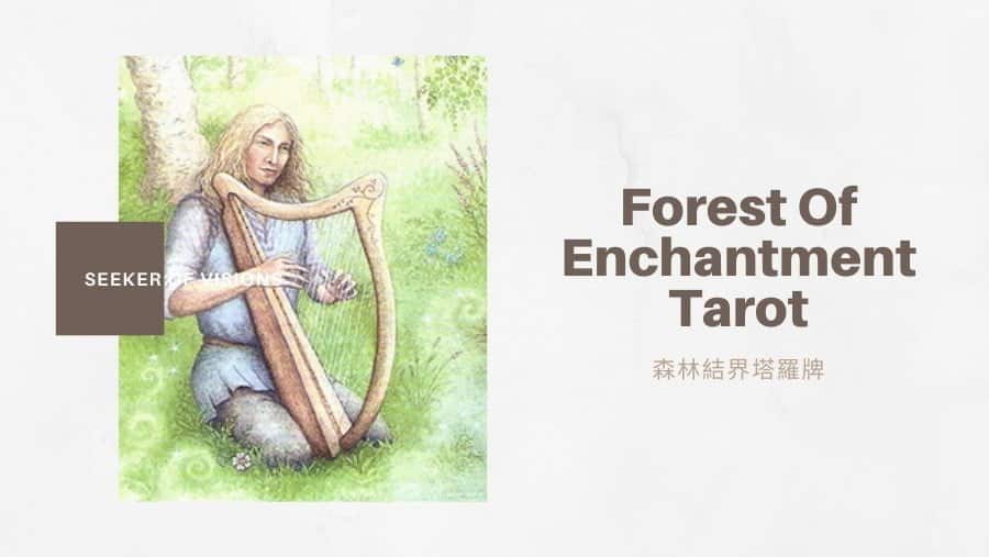 幻象之探索者 Seeker Of Visions-魔法森林塔羅牌Forest of Enchantment Tarot