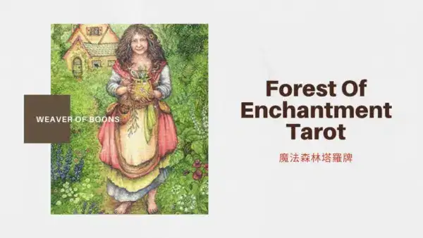 恩賜之編織者 Weaver Of Boons-魔法森林塔羅牌Forest of Enchantment Tarot