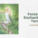 幻象之編織者 Weaver Of Visions-魔法森林塔羅牌Forest of Enchantment Tarot