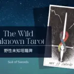 Ace of Swords-荒野未知塔羅牌牌義